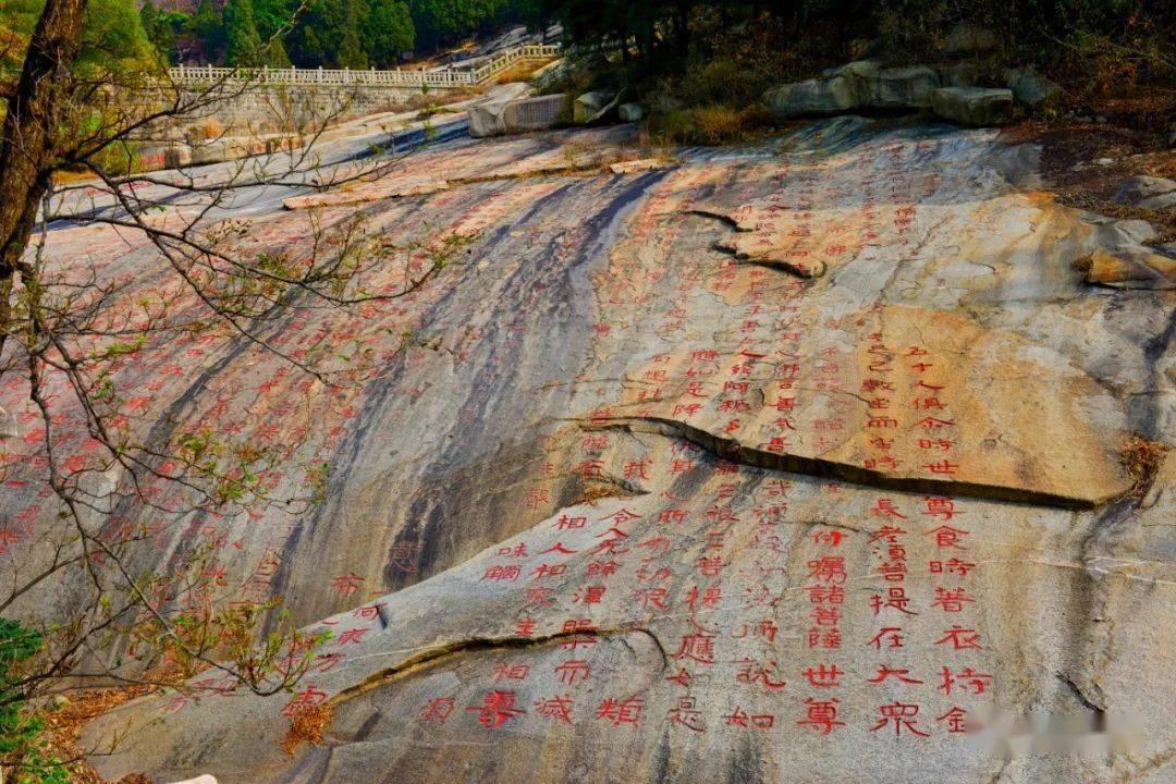 燃烧吧大脑装瓶子游戏